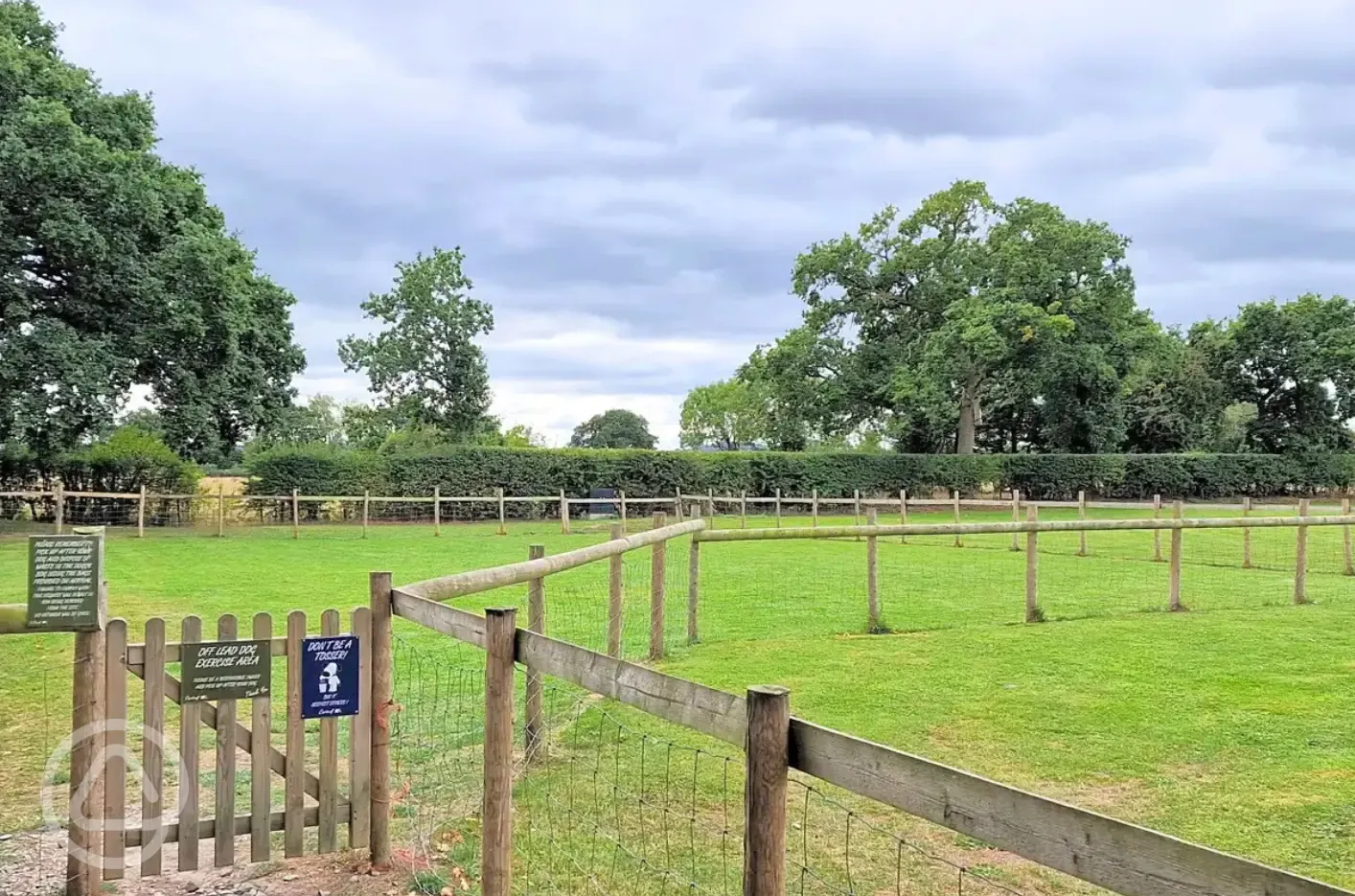 Dog exercise area 