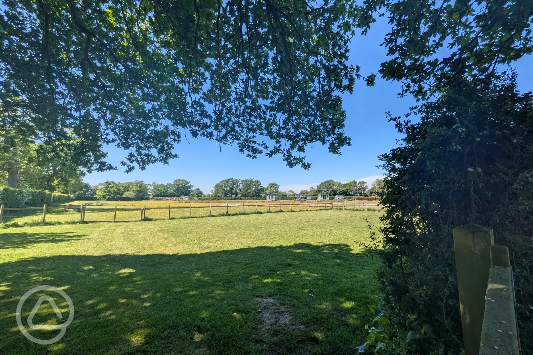 Dog exercise area 