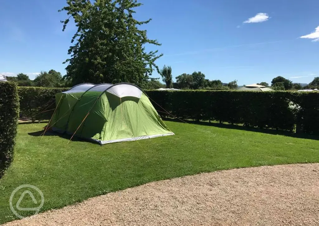 Fully serviced grass and hardstanding pitches