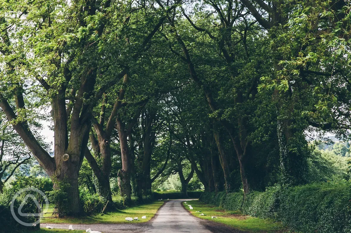 Entrance drive to the Walcot Estate and camp site