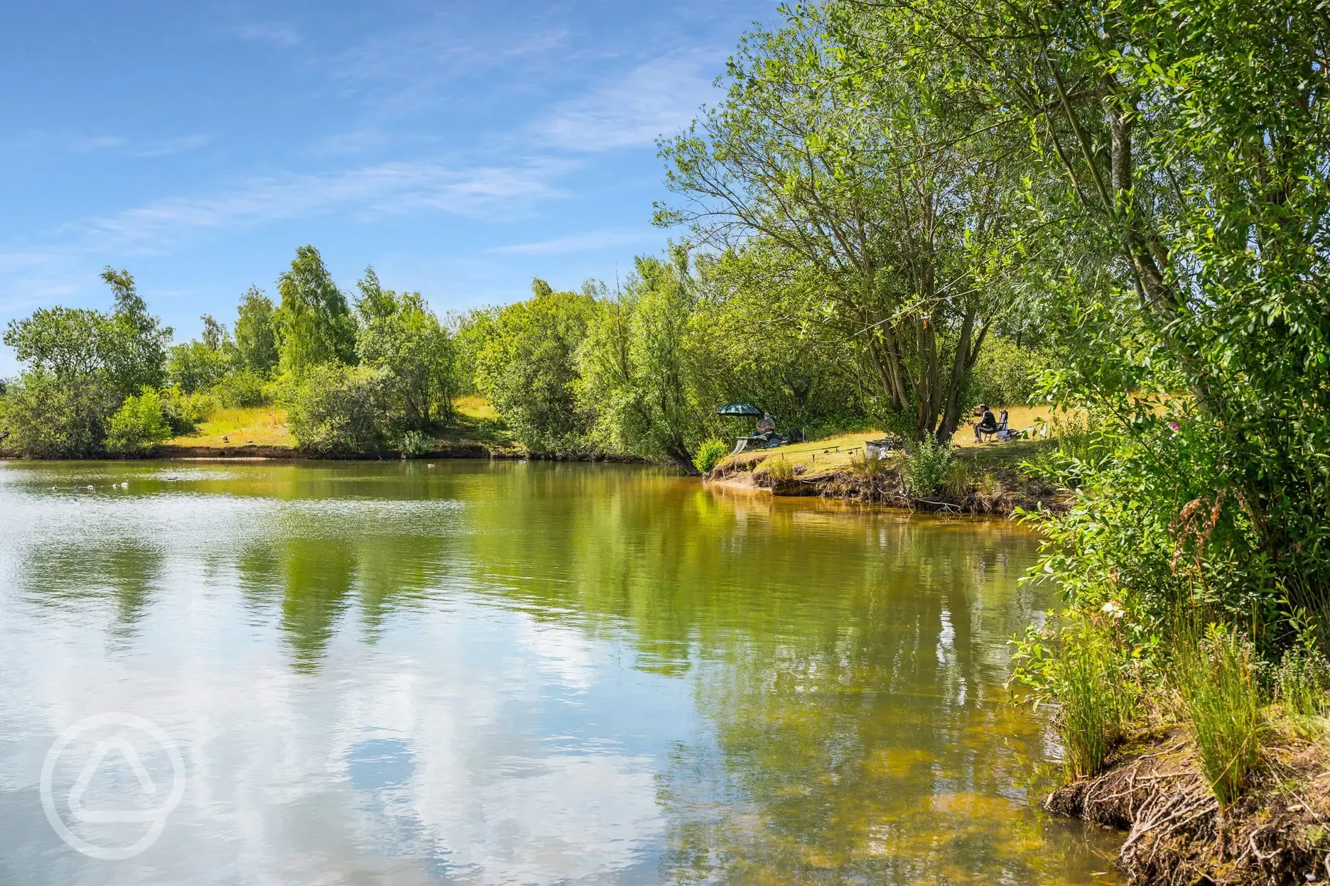 Coarse fishing lake at Gatton Waters Coarse fishing lake at Gatton Waters