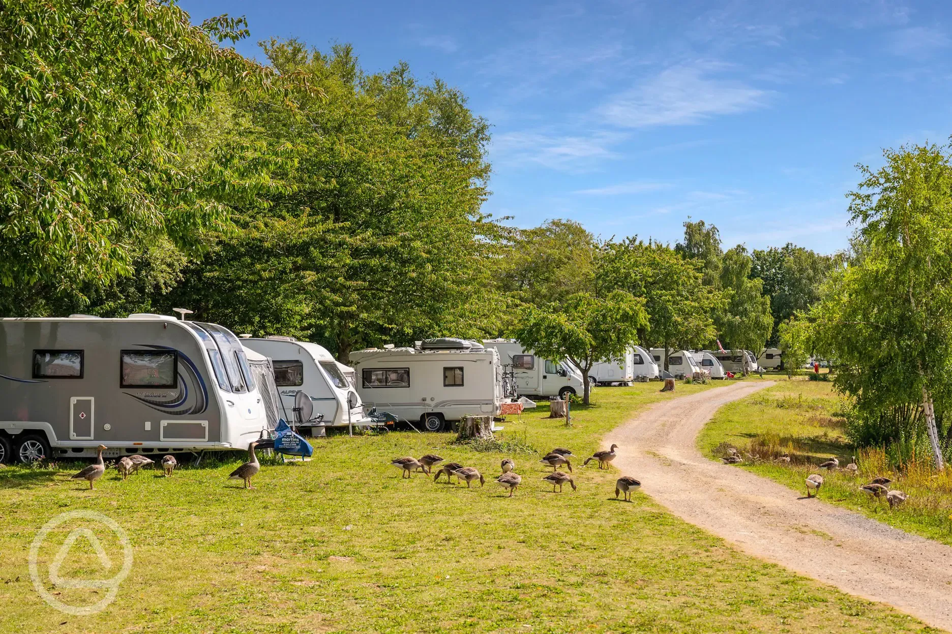 Optional electric grass pitches at Gatton Waters Optional electric grass pitches at Gatton Waters