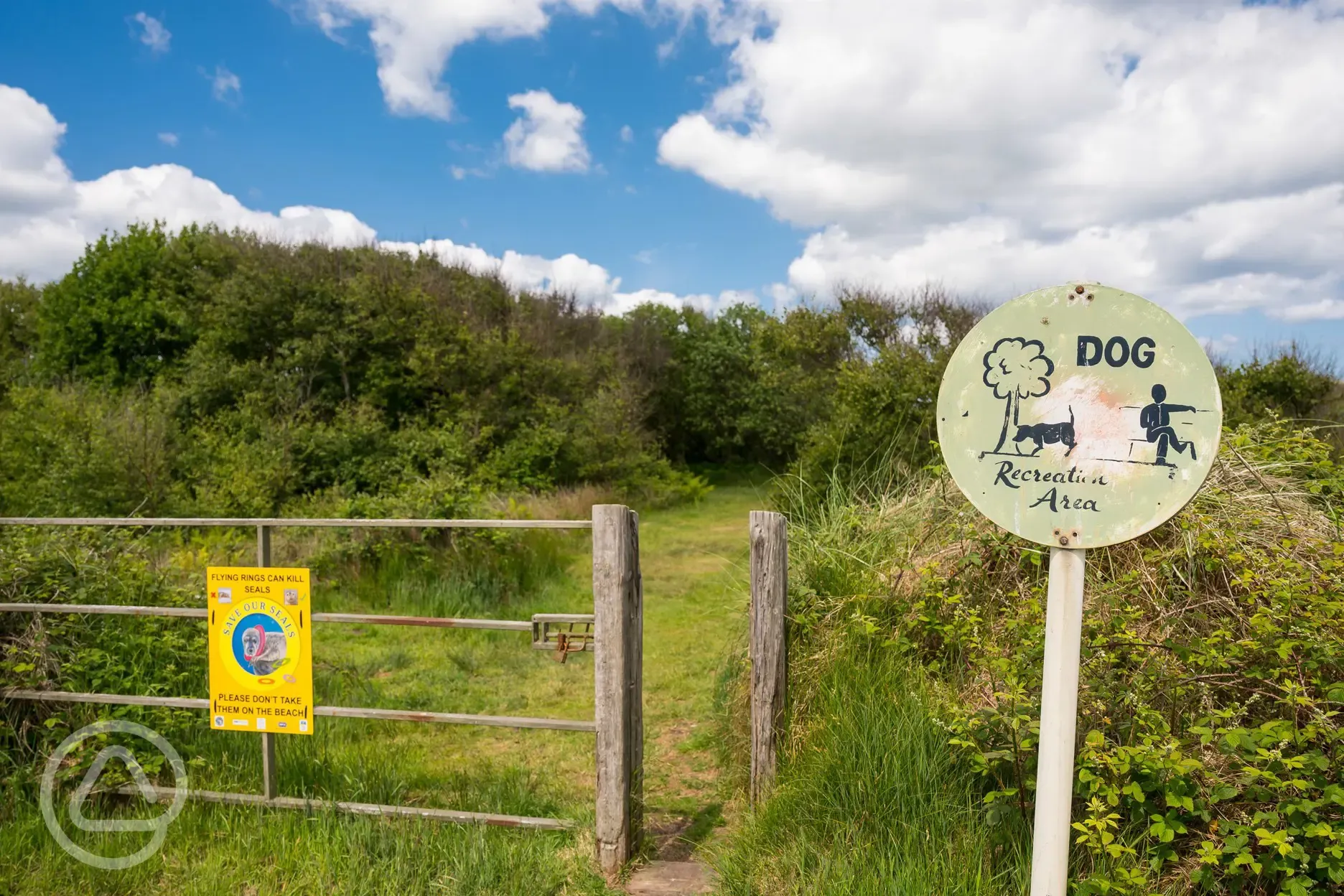 Dog walking area