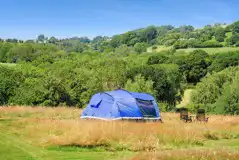 Non electric mown grass tent pitches (wild camping style) in the meadow
