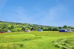 Non electric grass tent pitches (wild camping style) in the meadow