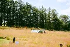 Non electric mown grass tent pitches (wild camping style) in the meadow