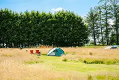 Non electric mown grass tent pitches (wild camping style) in the meadow