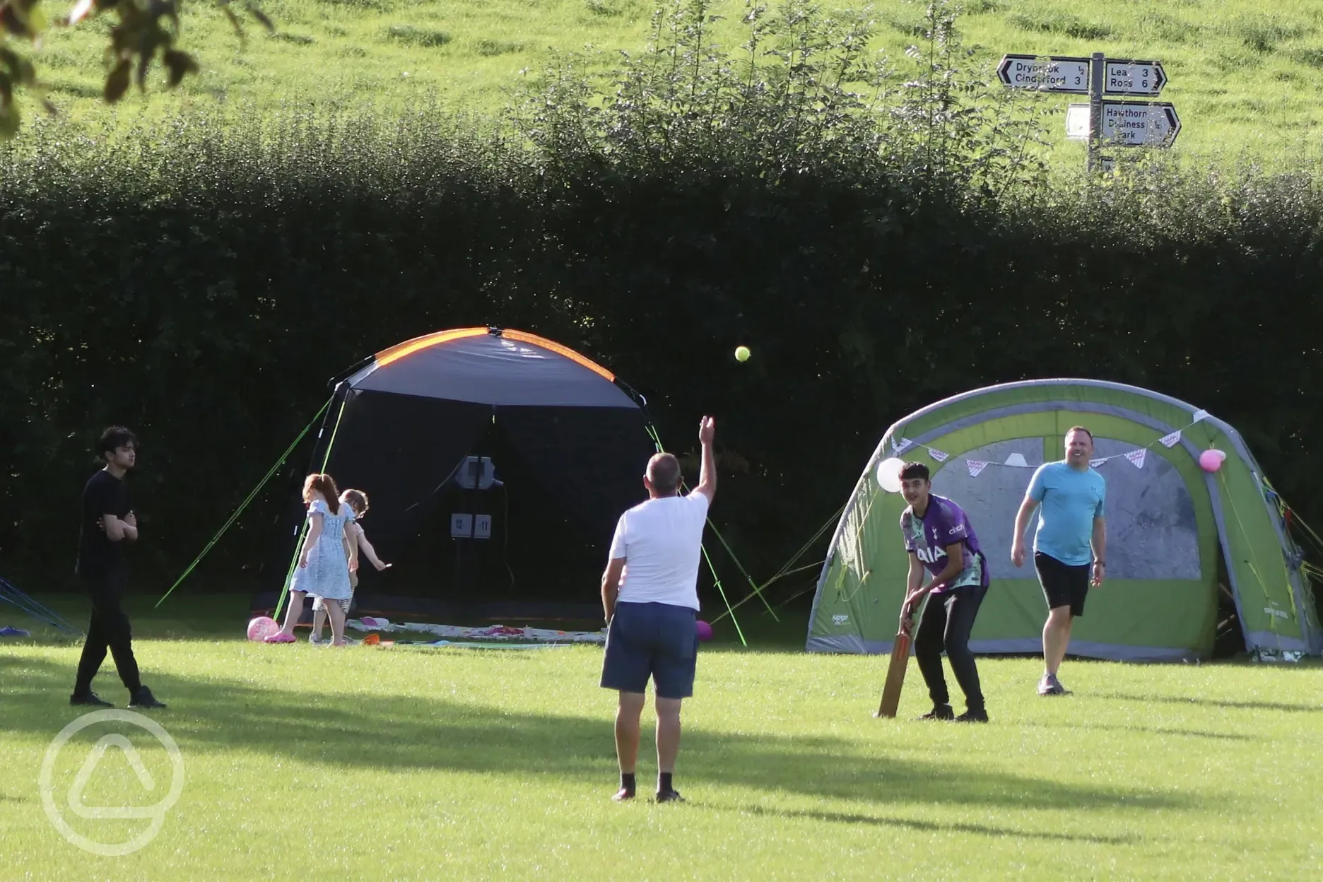 Electric grass pitches