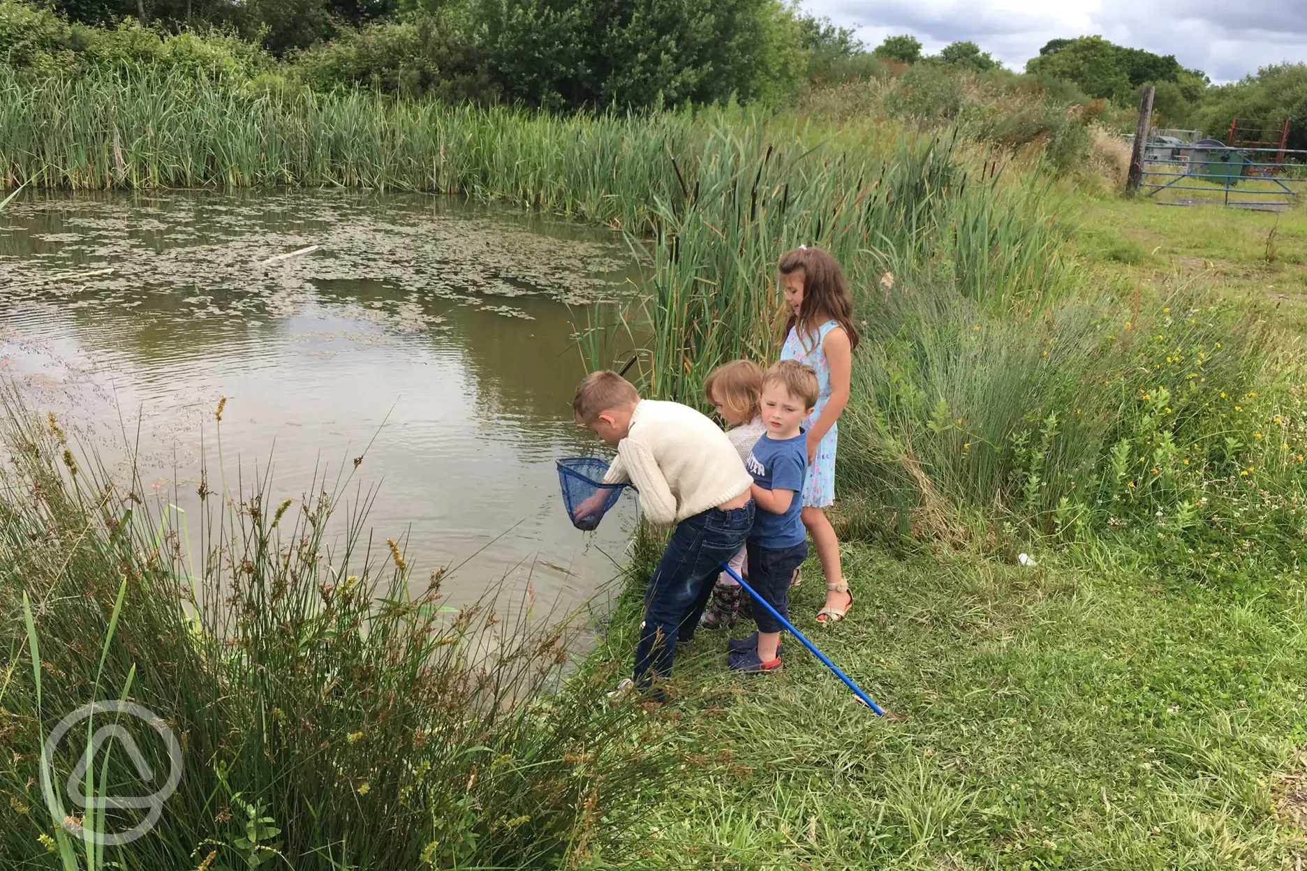 Fishing lake