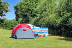 Standard non electric grass pitches with parking space available