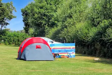 Standard non electric grass pitches with parking space available