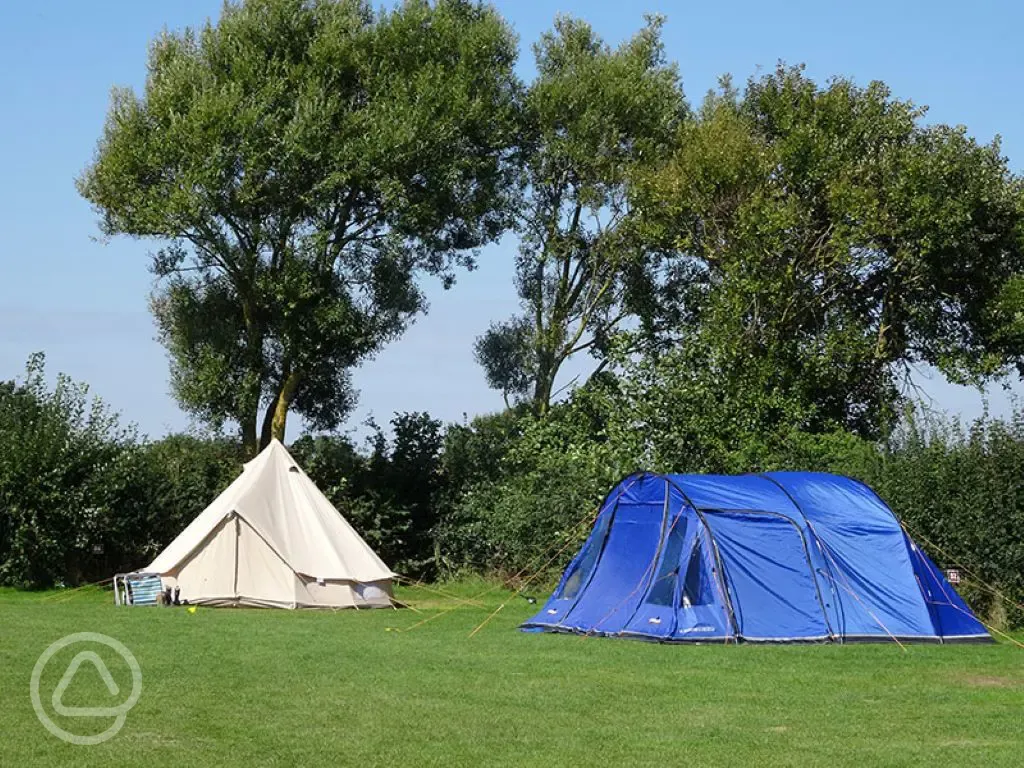 Grass pitches at Stubcroft Farm Campsite