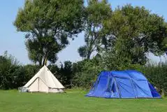 Grass pitches at Stubcroft Farm Campsite