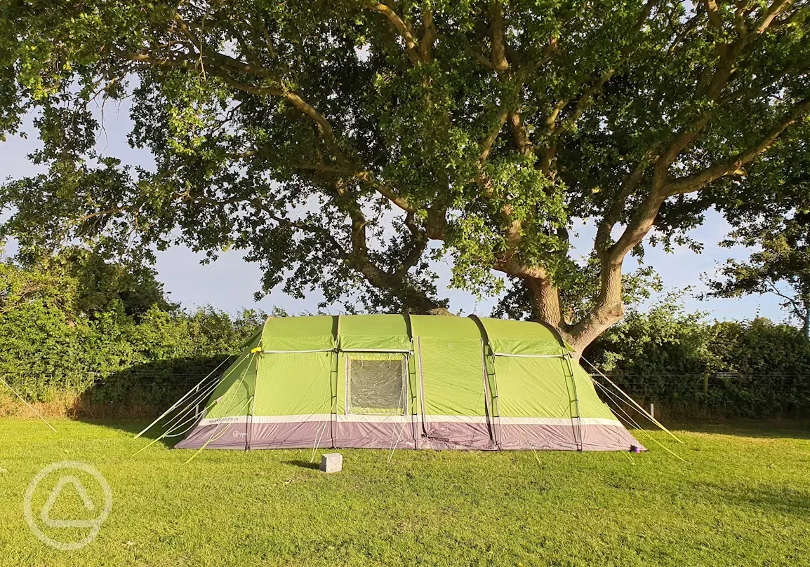 Large Tent Pitch in Oak Field