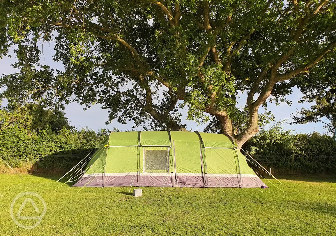 XL non electric grass pitches for tents, campervans, caravans and motorhomes