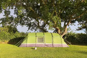 Large Tent Pitch in Oak Field