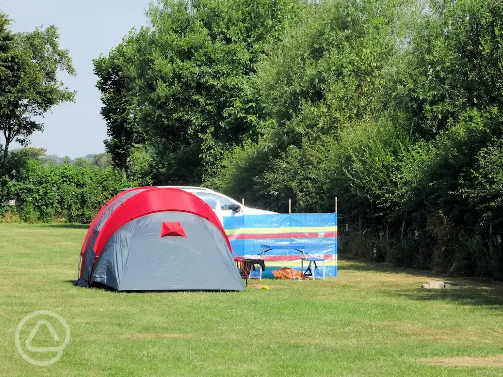 Standard non electric grass pitches 