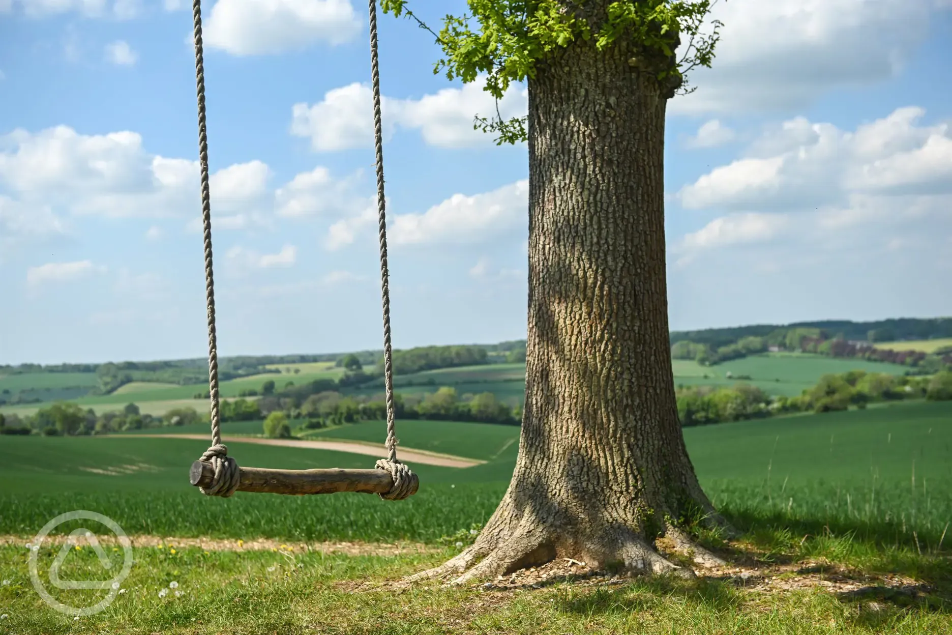 Swing