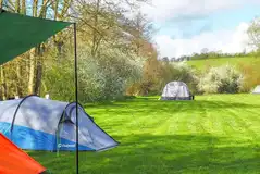 Grass pitches