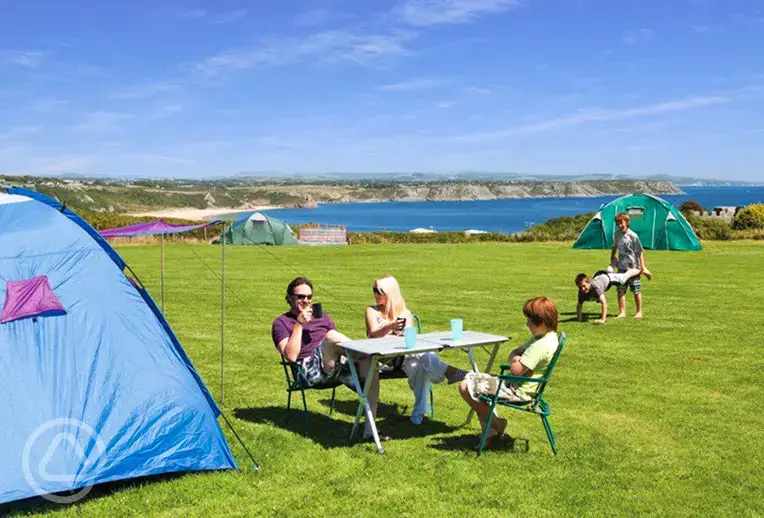 Non electric grass pitches