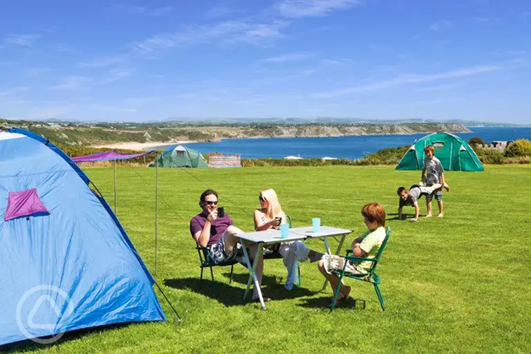 Non electric grass pitches