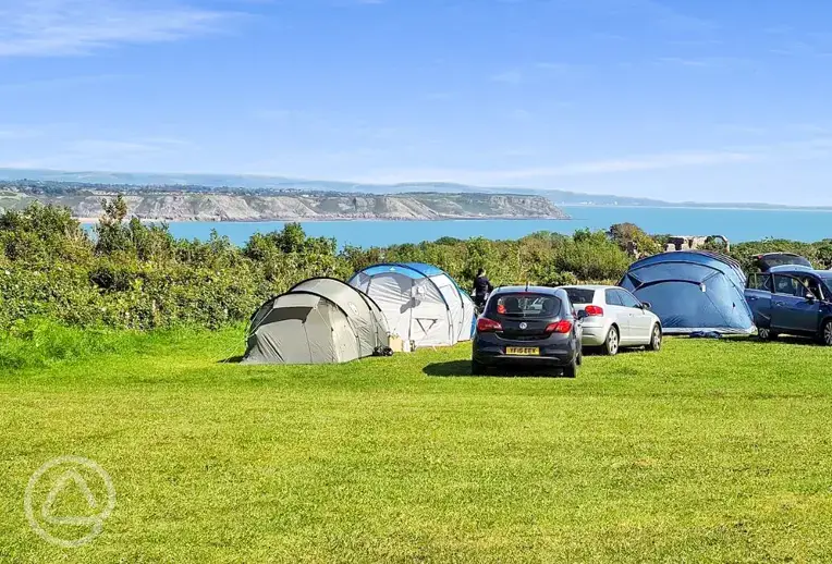 Non electric grass pitches