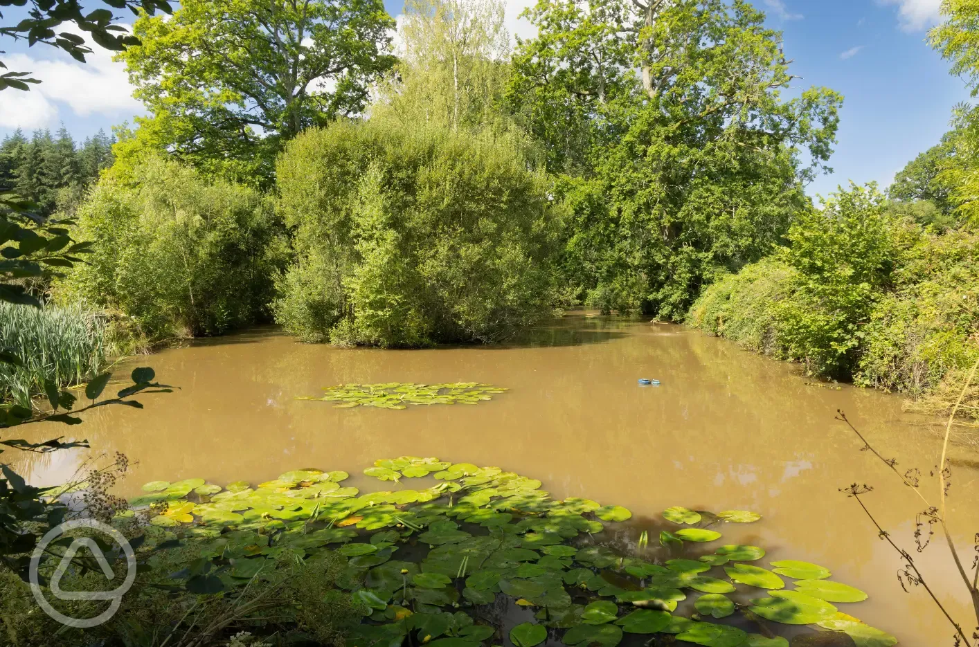 Fishing ponds stocked with carp and roach