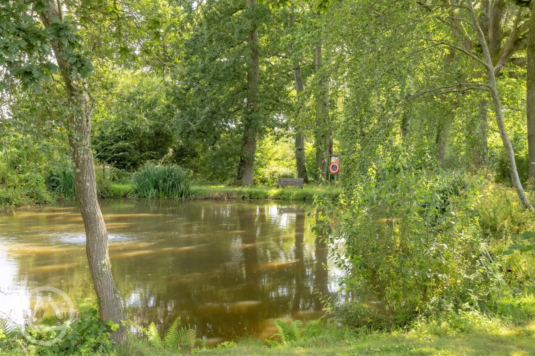 Fishing ponds stocked with carp and roach