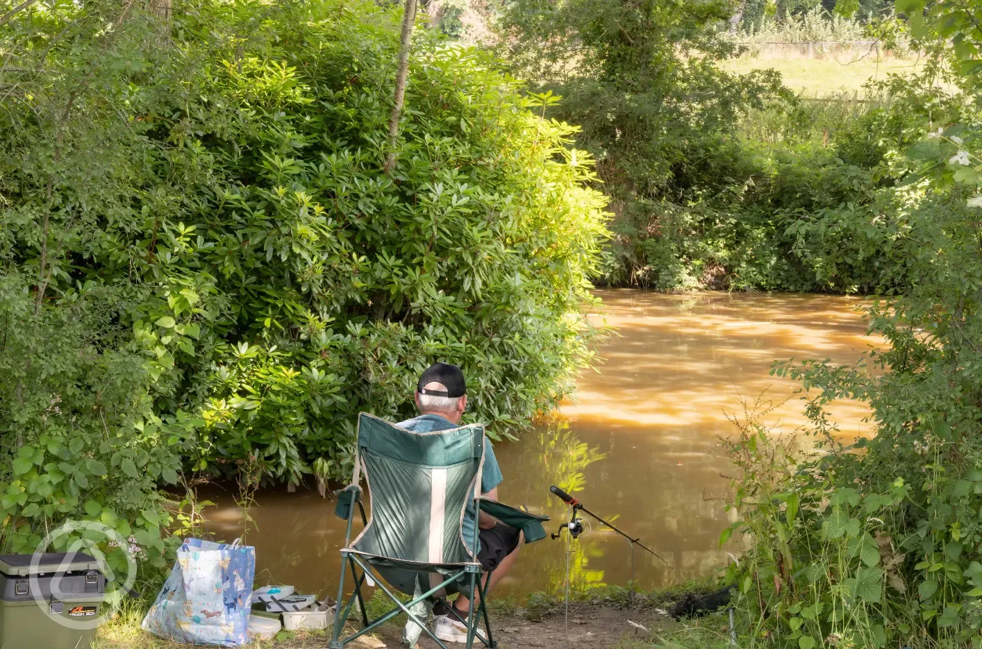 Fishing ponds stocked with carp and roach