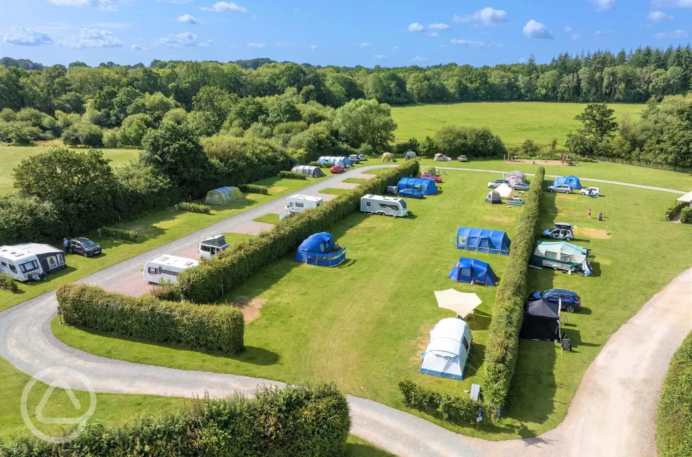 Aerial of the grass pitches with hedging between rows