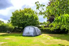 Non electric grass pitch