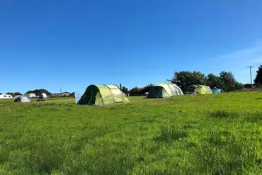 Grass pitches