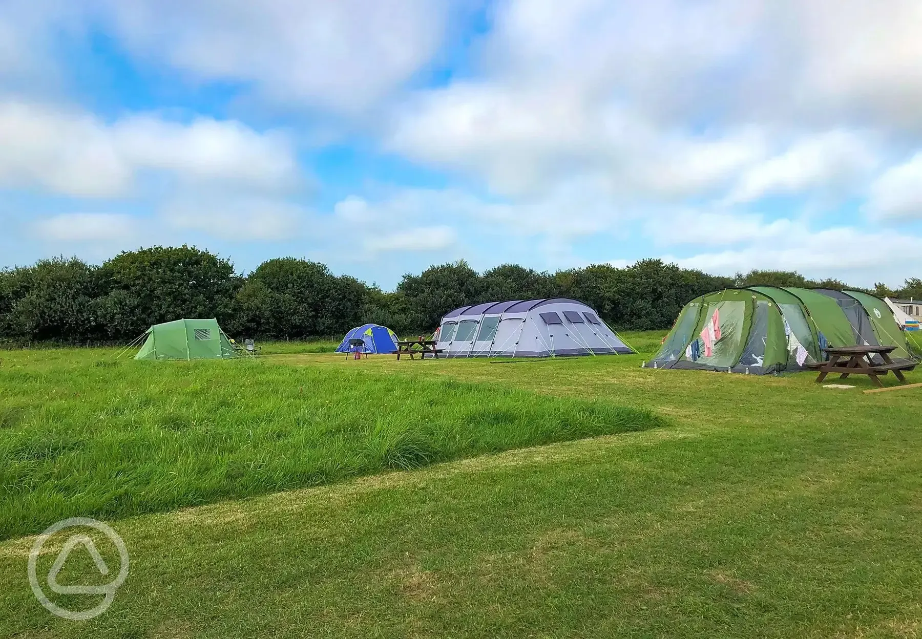 Grass pitches