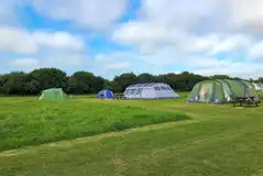 Grass pitches