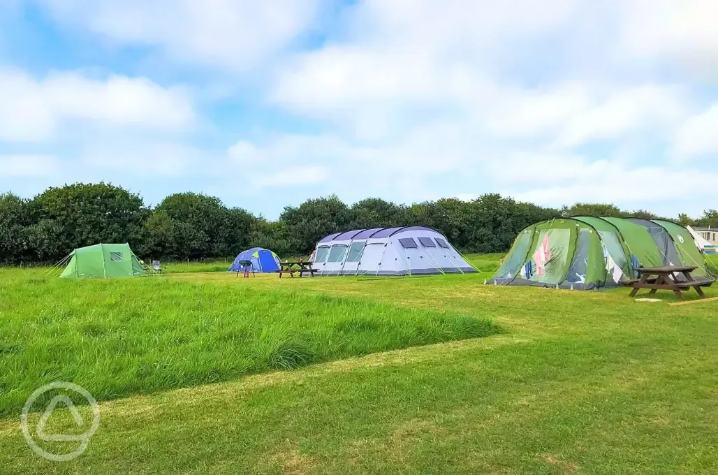 Non electric grass tent pitches