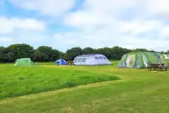 Non electric grass tent pitches