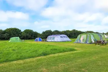 Non electric grass tent pitches