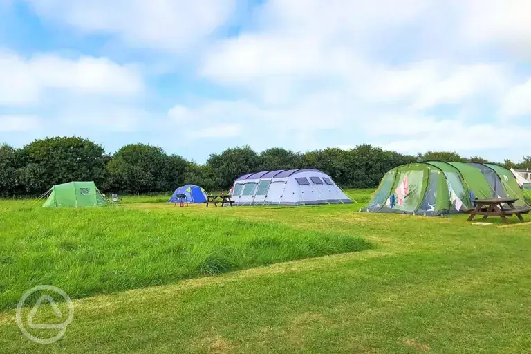 Non electric grass tent pitches