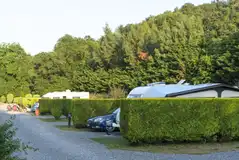 Hardstanding and grass pitches with hedges between for privacy