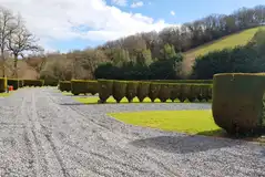 Hardstanding and grass pitches (non electirc, electric and fully serviced)