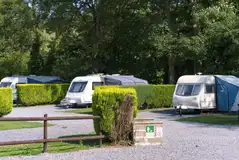 Hardstanding and grass pitches with hedges between for privacy