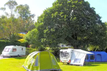 Electric grass pitches