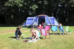 Electric grass pitches