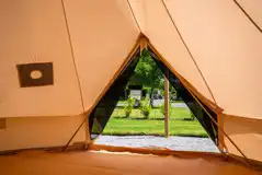 View from inside the bell tent