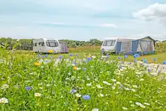Electric grass pitches with space for an awning