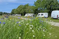 Electric grass pitches with 16 amp electric hook ups Electric grass pitches with 16 amp electric hook ups
