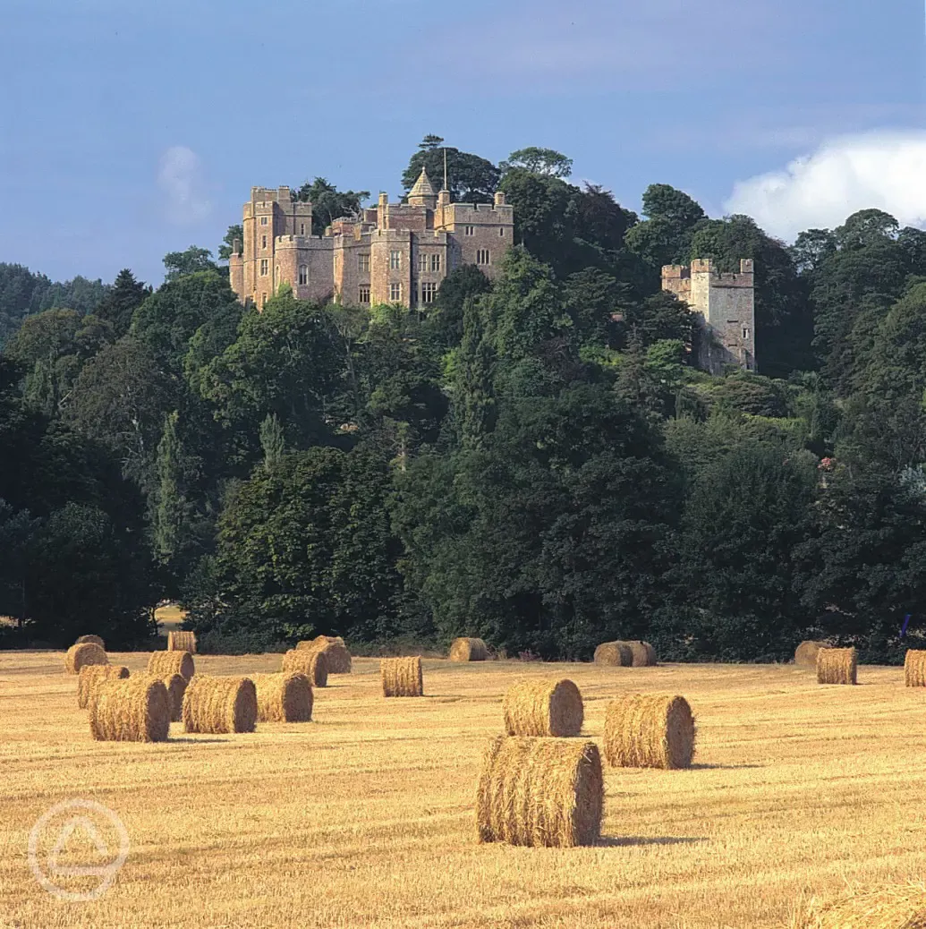 Nearby Dunster Castle