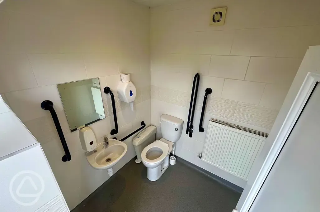 Accessible bathroom with grab rails
