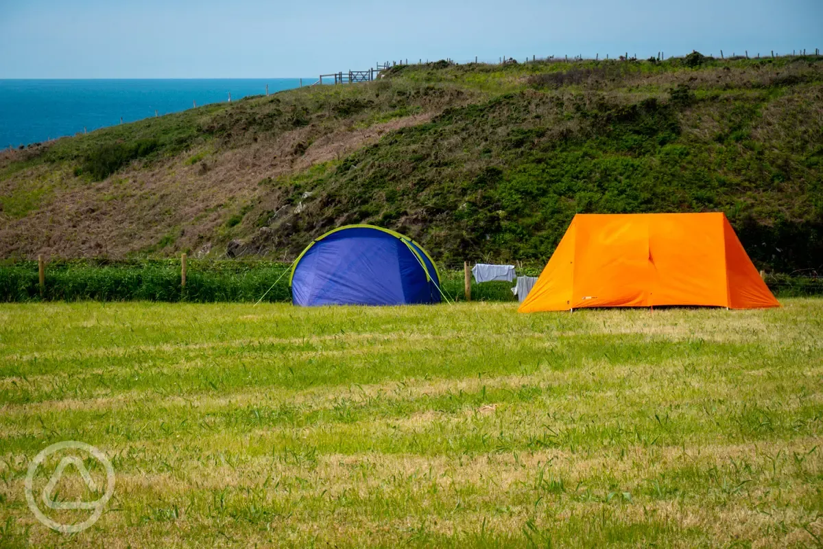 Tent camping at Porthclais