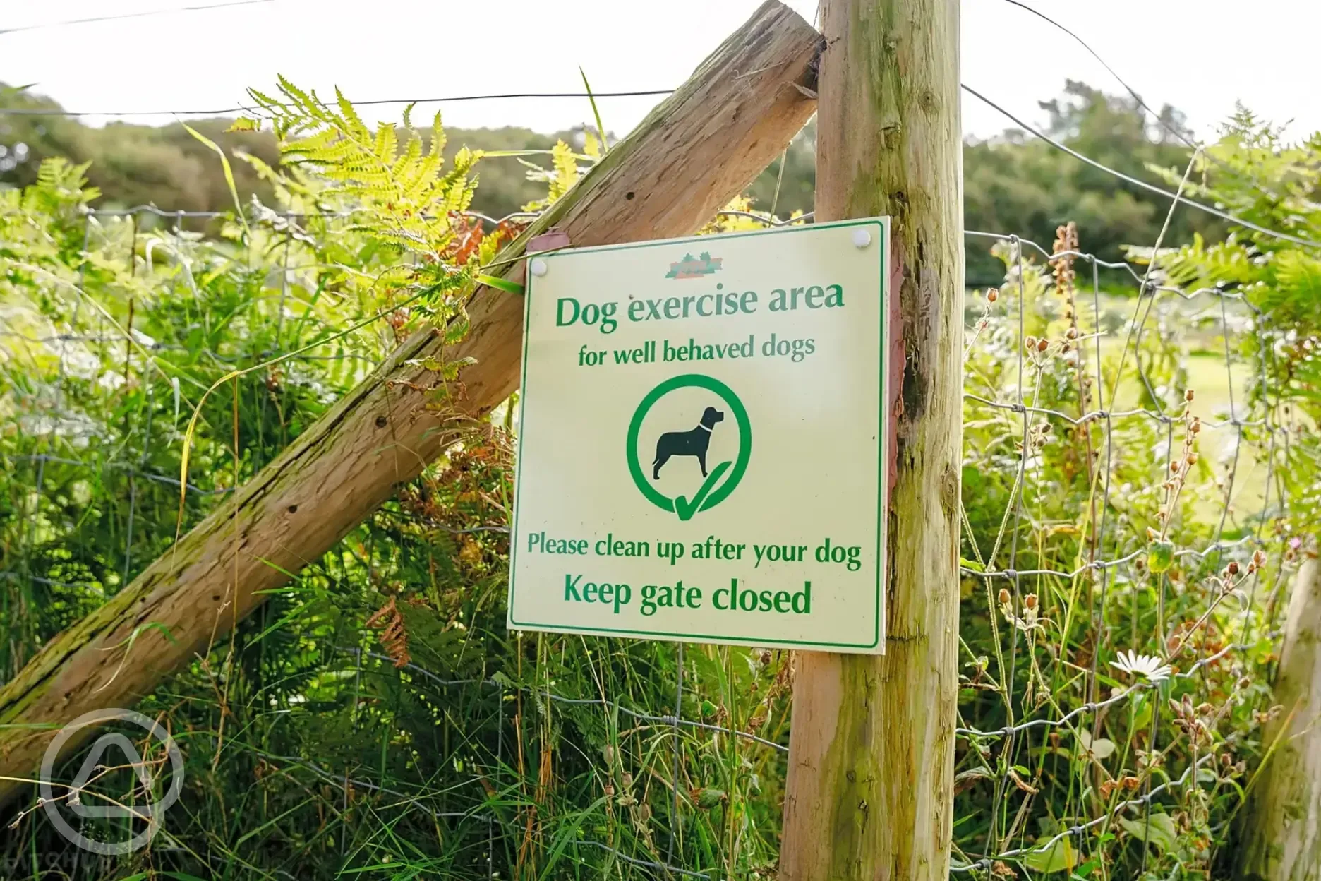 Dog exercise area at Morfa Bychan 